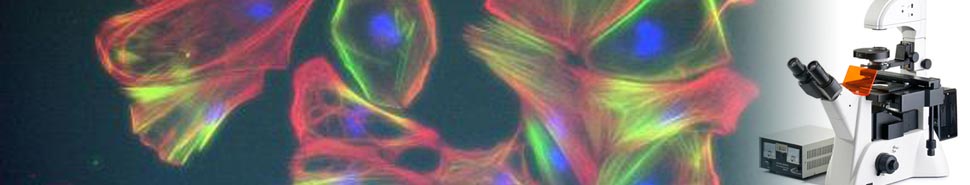 上海普丹光學儀器有限公司